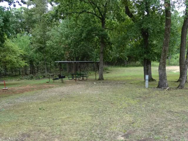 Quail 1