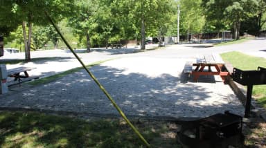 Site 42