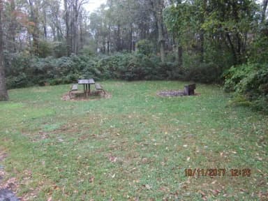 Loft Mountain Campground - Site D129