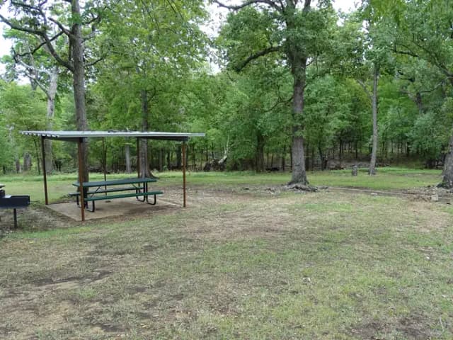 Quail 6