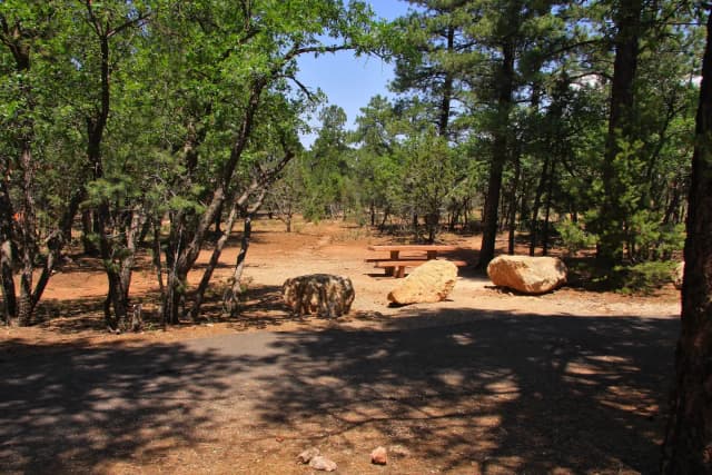 Picnic table, fire pit, and parking spot, Mather Campground