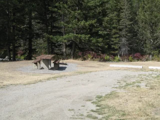 Site 3 campsite - pine trees along river, picnic table & fire ring
