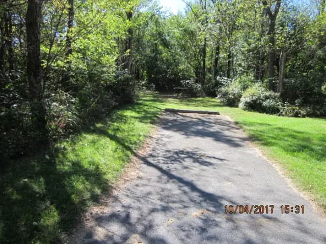 Loft Mountain Campground - Site D132