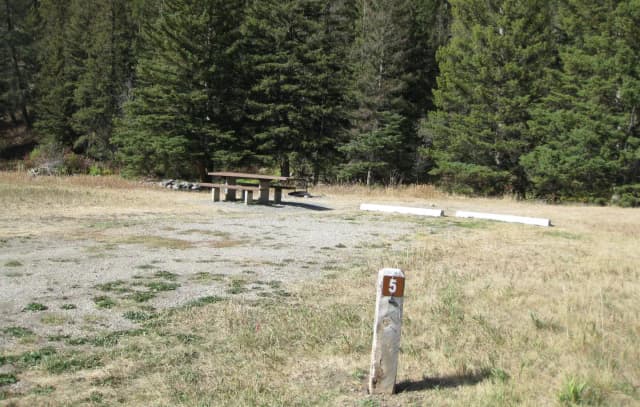 Site 5 campsite - pine trees along river, picnic table & fire ring