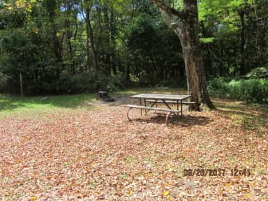 Loft Mountain Campground - Site E133