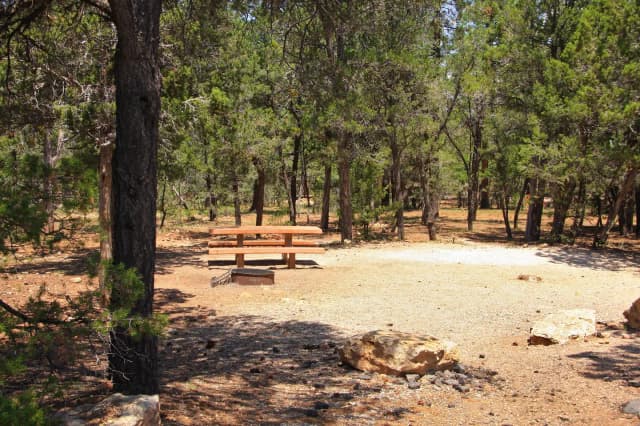 Picnic table, fire pit, and parking spot, Mather Campground