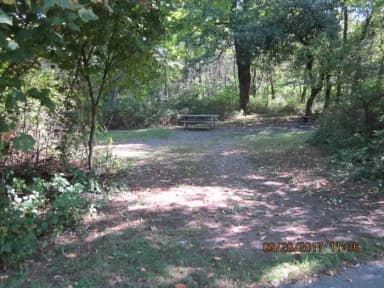 Site E134 with picnic table visible