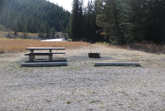 Site 10 campsite - pine trees along river, picnic table & fire ring