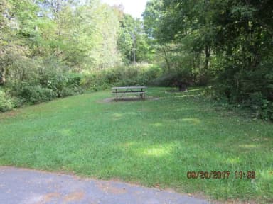 Site E136 with picnic table visible
