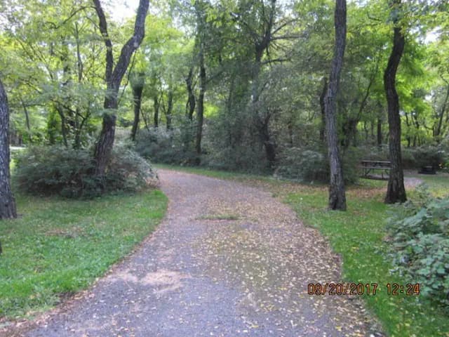 Site E141 Driveway