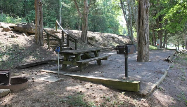 Site 61