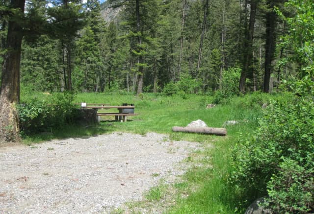 Campsite surrounded by pine trees,  picnic table & fire ring