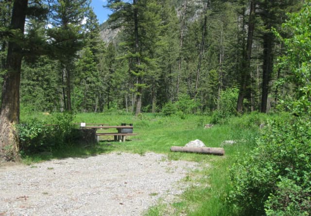 Site 2, campsite surrounded by pine trees, picnic table & fire ring
