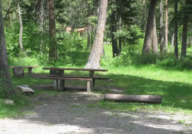Site 3, campsite surrounded by pine trees, picnic table & fire ring