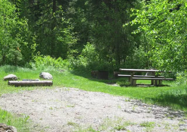 Site 4, campsite surrounded by pine trees, picnic table & fire ring