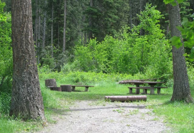Site 5, campsite surrounded by pine trees, picnic table & fire ring
