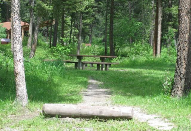 Site 6, campsite surrounded by pine trees, picnic table & fire ring