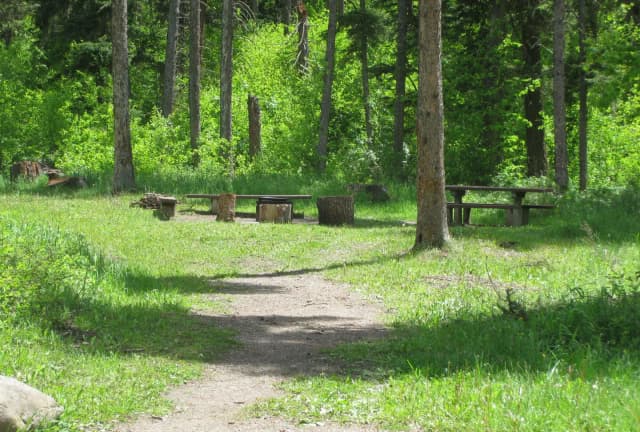 Campsite surrounded by pine trees, picnic table & fire ring
