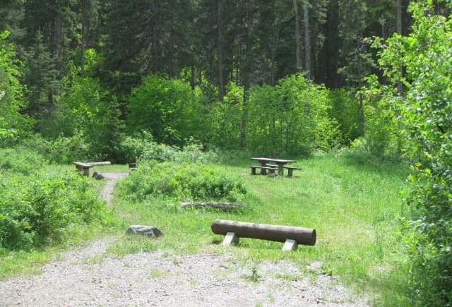Site 8, campsite surrounded by pine trees, picnic table & fire ring