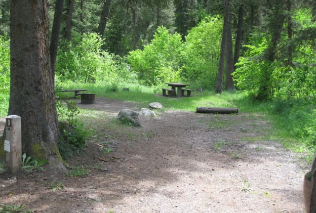Site 9, campsite surrounded by pine trees, picnic table & fire ring