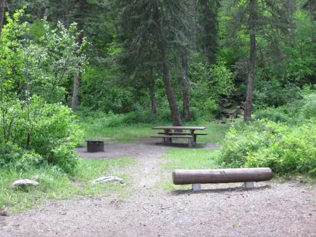Site 10, campsite surrounded by pine trees, picnic table & fire ring