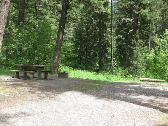 Site 12, campsite surrounded by pine trees, picnic table & fire ring