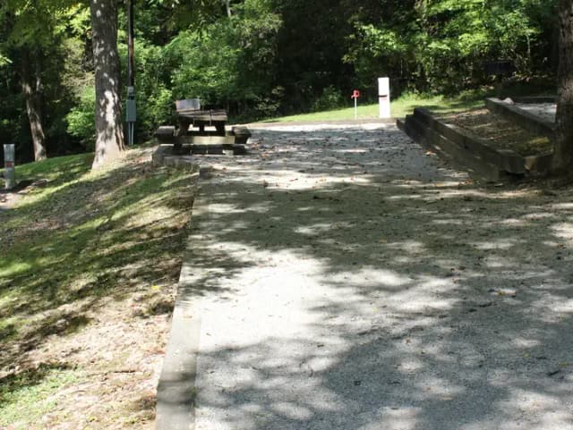 Site 113