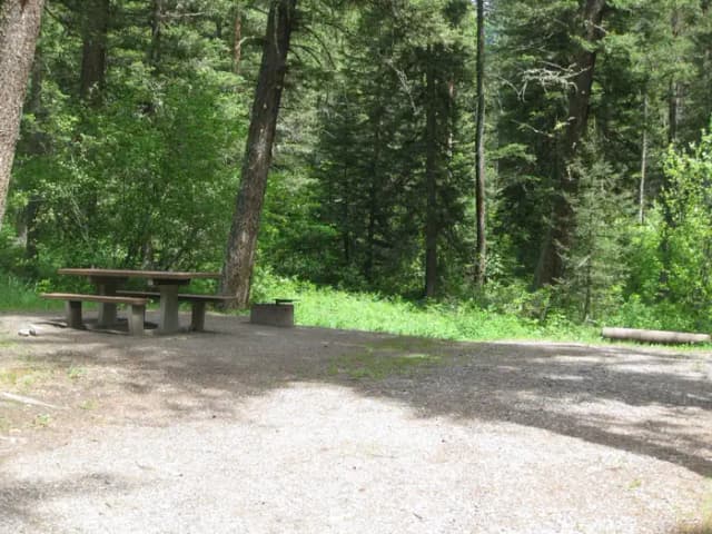 Site 13, campsite surrounded by pine trees, picnic table & fire ring