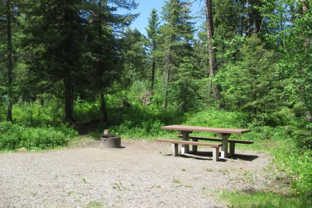 Site 14, campsite surrounded by pine trees, picnic table & fire ring