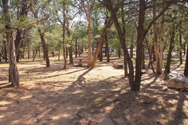 Picnic table, fire pit, and parking spot, Mather Campground