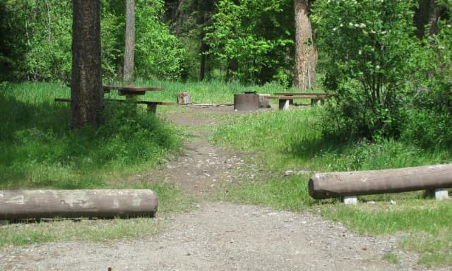 Site 16, campsite surrounded by pine trees, picnic table & fire ring