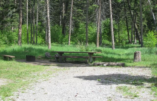 Site 17, campsite surrounded by pine trees, picnic table & fire ring