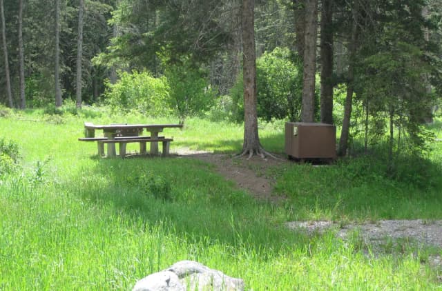 Site 18, campsite surrounded by pine trees, picnic table & fire ring