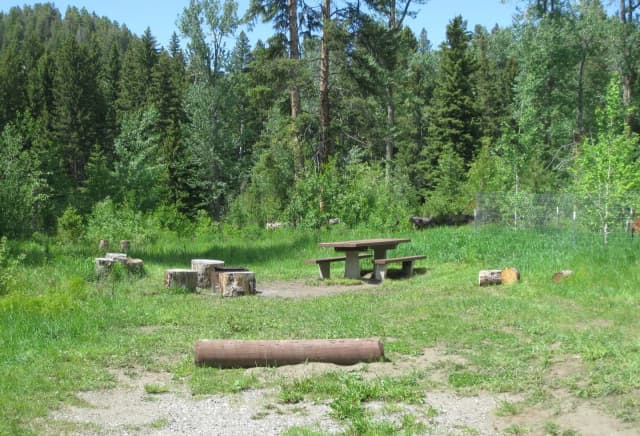 Site 19, campsite surrounded by pine trees, picnic table & fire ring