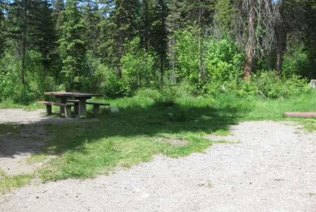 Site 20, campsite surrounded by pine trees, picnic table & fire ring