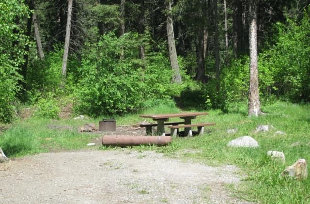 Site 22, campsite surrounded by pine trees, picnic table & fire ring