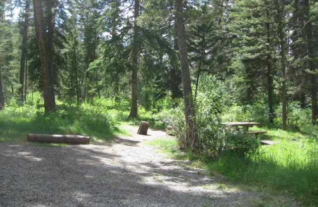 Site 23, campsite surrounded by pine trees, picnic table & fire ring