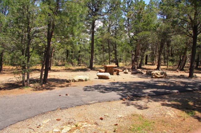Picnic table, fire pit, and parking spot, Mather Campground
