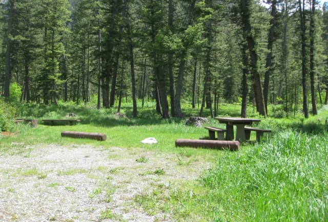 Site 24, campsite surrounded by pine trees, picnic table & fire ring