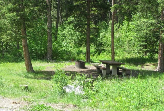 Site 25, campsite surrounded by pine trees, picnic table & fire ring