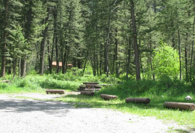 Group Area Site 26 - campsite surrounded by pine trees, picnic table & fire ring