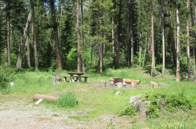 Site 27, campsite surrounded by pine trees, picnic table & fire ring
