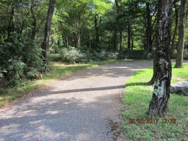 Site E142 Driveway