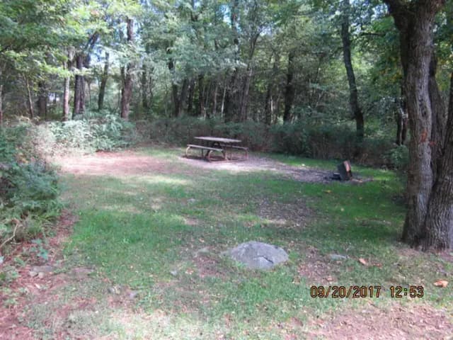 Site E146