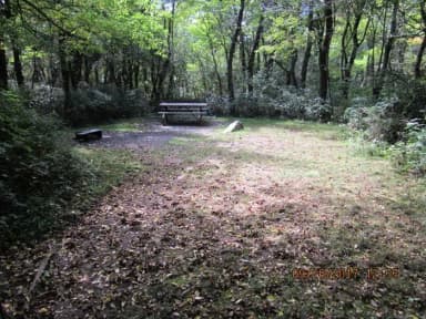 Site E147