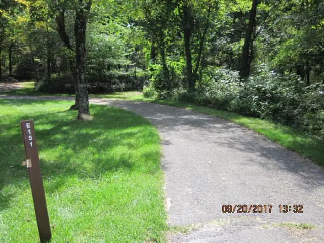 Site E151 Driveway