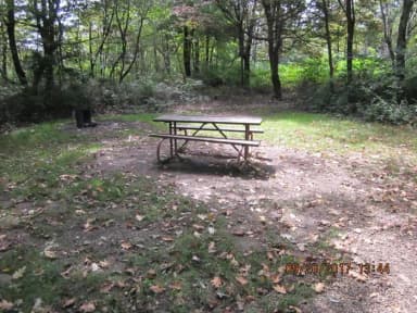 Site E153