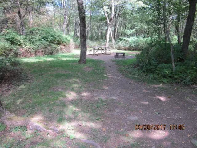 Site E154