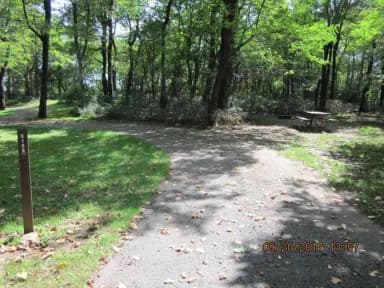 Site E155 Driveway