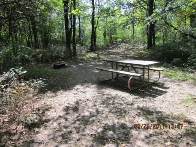 Site E155